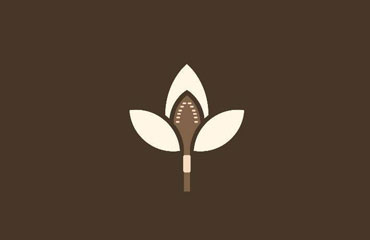 Trilogy Villas Denarau Logo