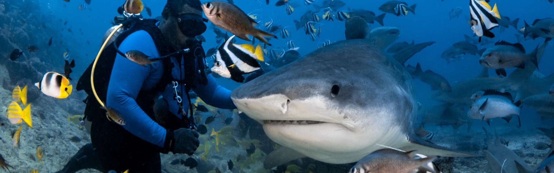 Beqa Lagoon Resort Deals Banner Image