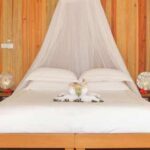Deluxe Oceanfront Bure 3