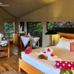 Luxury Tented ‘Treehouse’ Bure 3