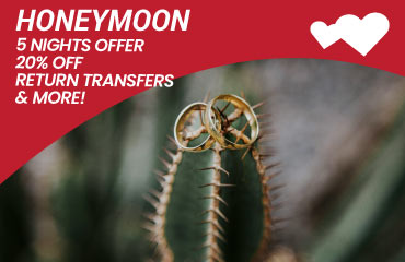 Stevenson’s at Manase Holiday Packages