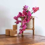 Trilogy Villas Denarau 132