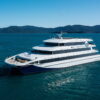 Render of a drone picture of a large cruising vessel