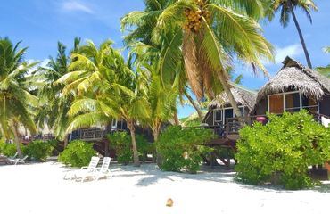 Paradise Cove Lodges